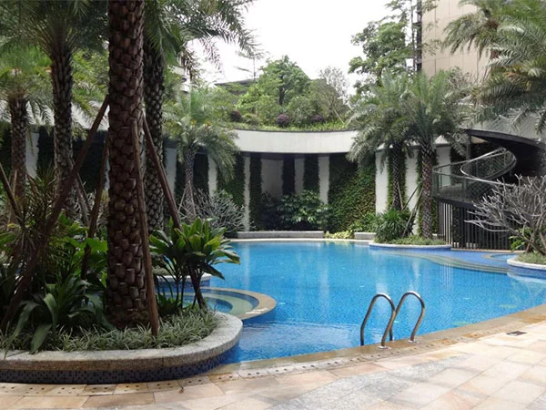Shunde OCT Swan Castle Luxury Residential Heat Pump Pool Project