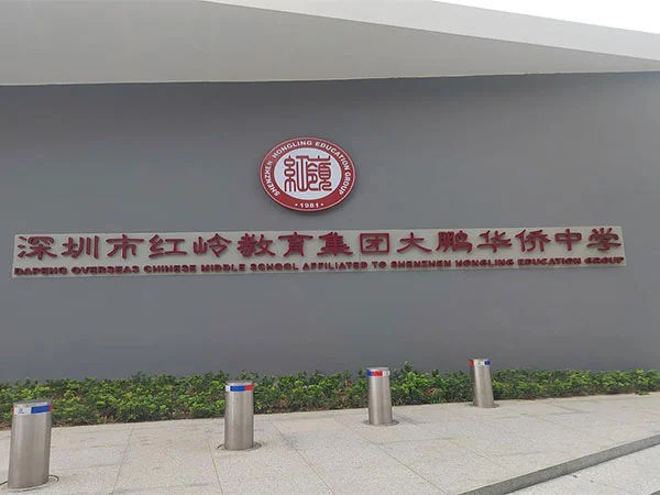 Tionscadal Linn Snámha Tógála Buleway: Grúpa Oideachais Shenzhen Hongling Dapeng Meánscoil na Síne Thar Lear